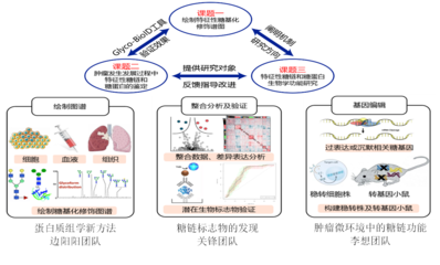 我校5人獲省杰青項目資助、4支團隊入選省重點科技創新團隊