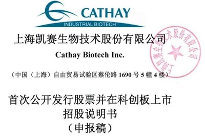 凱賽生物IPO:存在安全生產風險,曾深陷專利糾紛,票據流轉、轉貸等違規不斷