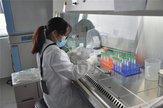 依科賽生物:細胞培養(yǎng)和鑒定試劑的領(lǐng)軍企業(yè)