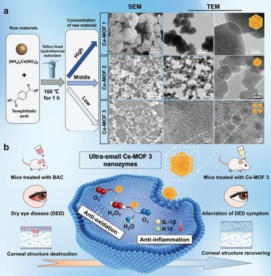 干眼治療新路徑!復(fù)旦團(tuán)隊研發(fā)納米酶"刷"掉過量眼表活性氧