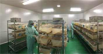 第13屆ai會,寧波第二激素廠與大家共同抵御 非瘟