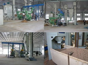 單臺生物質(zhì)顆粒燃料機(jī)是不是產(chǎn)能越多越好