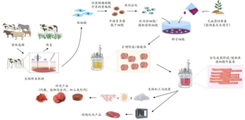 226起投融資、52個(gè)過億項(xiàng)目.食品飲料行業(yè)有哪些潛力賽道值得挖掘?