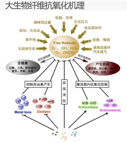大生物纖維 點燃中國紡織業(yè)變革與山東新舊動能轉(zhuǎn)換的燎原之火