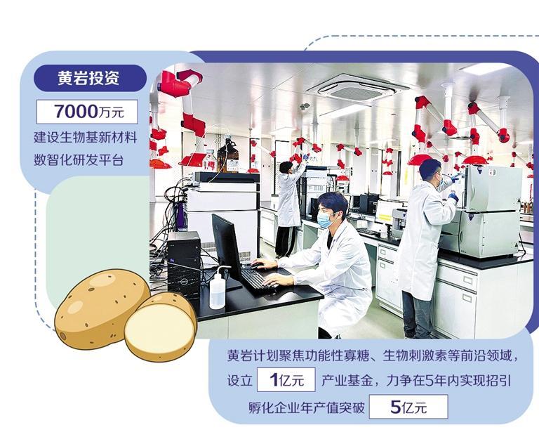當(dāng)土豆遇上算力 浙江黃巖打造生物基新材料的技術(shù)策源地